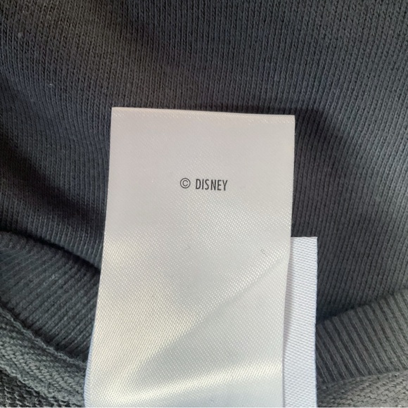 Walt Disney World 50th Anniversary Dolman Sleeve Sweatshirt Dark Grey Size L - Picture 9 of 9